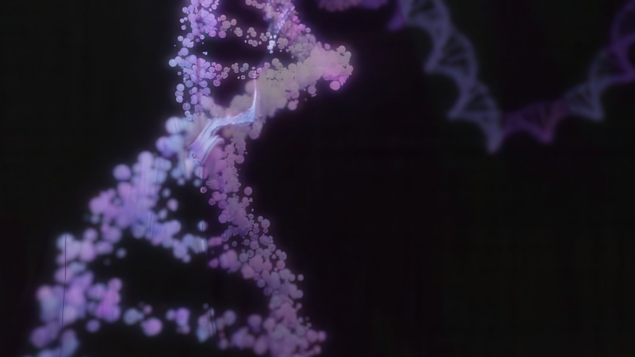 DeepVariant