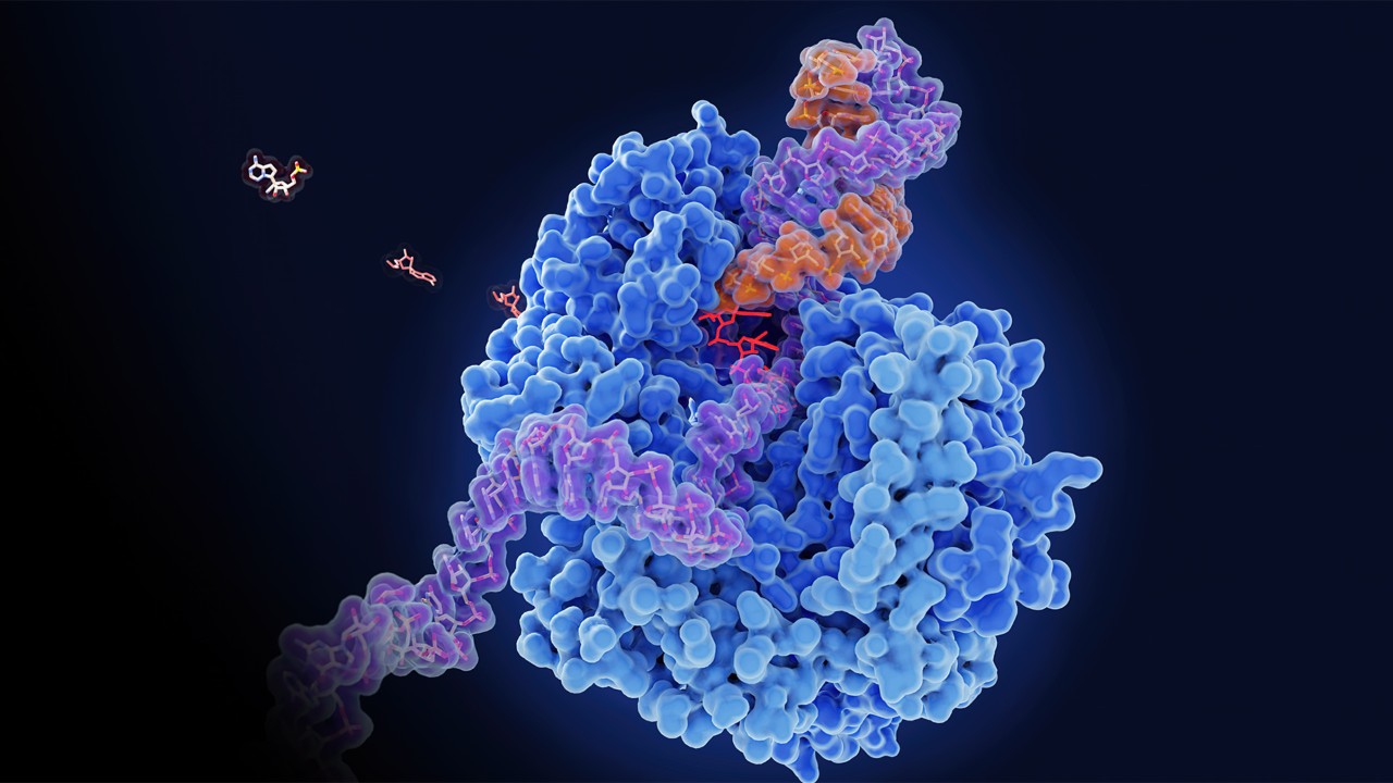 Improving Instrument Speed and Accuracy With NVIDIA Accelerated Computing