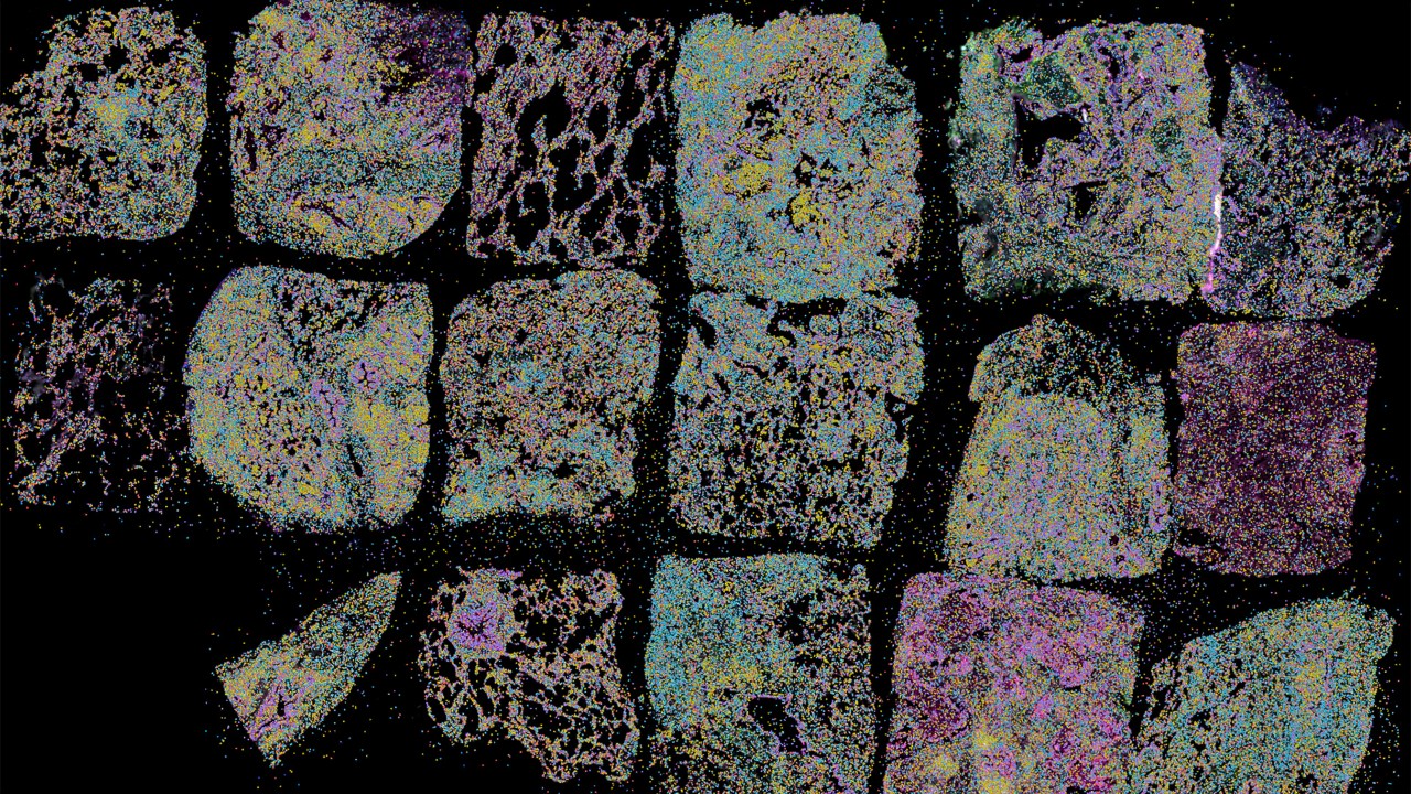 Multi-omics sequencing created new computational challenges Using NVIDIA RAPIDS